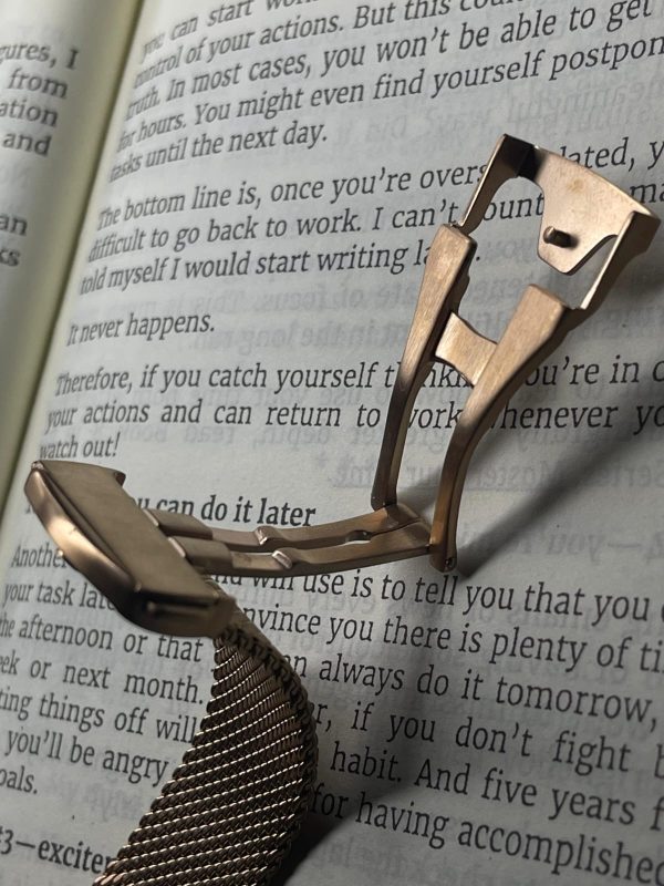 Omega Seamaster Diver, Bronze gold on Bronze gold 007