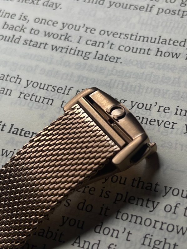 Omega Seamaster Diver, Bronze gold on Bronze gold 007